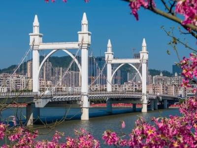 张一恒：以交通提升拓展珠海城市发展空间｜问策