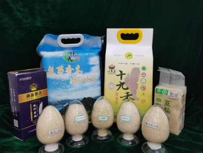 科技赋能岭南特色现代农业，省农科院多领域发力支撑产业体系建设