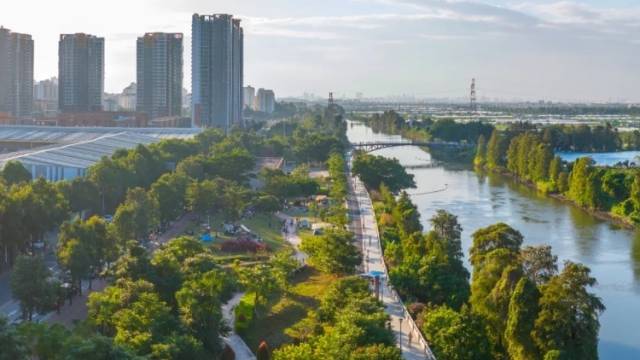 城乡形态升级，闲置地变身生态园｜中山“百千万”·每周荐