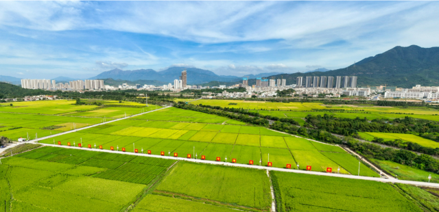 深汕特别合作区。