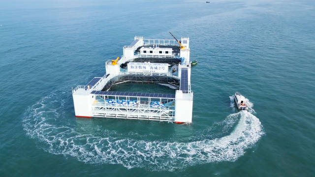 深远海养殖平台“海威2号”如一座“海上堡垒”矗立在蓝海碧波之上