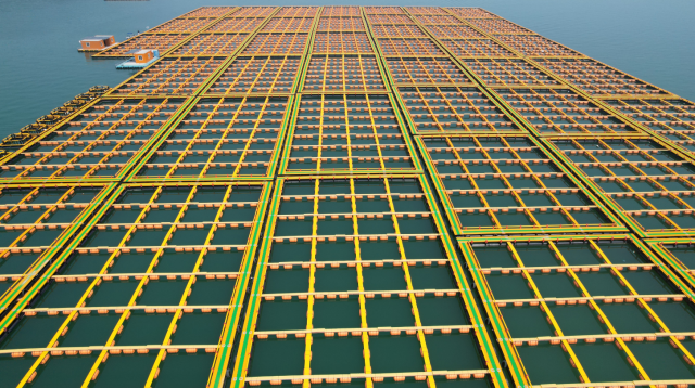 饶平县近浅海传统渔排“木改塑”示范项目建设的新型塑胶网箱