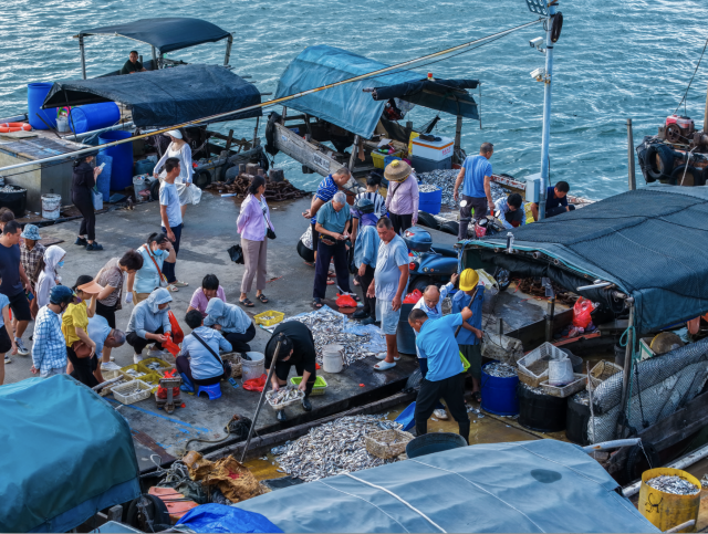 广大市民在挑选“第一口鲜”