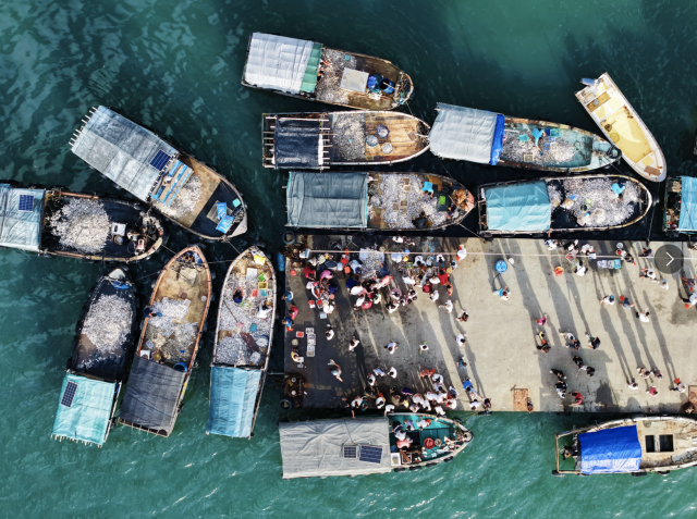 开渔后首批渔获到岸，湛江渔人码头现场人头攒动。