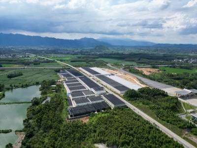 一个包、一朵花，走出联农带农促增收的致富之路｜粤桂协作谱新篇