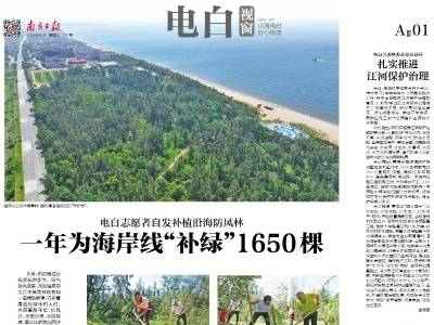 一年为海岸线“补绿”1650棵｜速览《南方日报·电白视窗》第231期