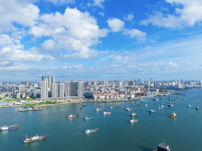 向海追“鲜”！看“海上新湛江”如何打造？