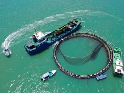 9701.21亿元！广东农业多项数据位居全国前列