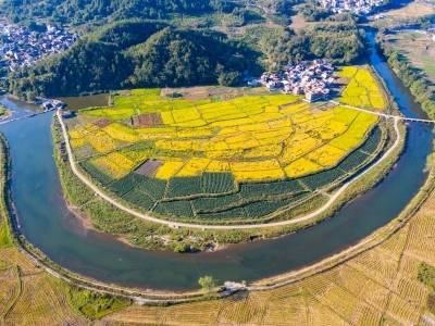 省加快推进现代化产业体系建设第五场专题会议在广州召开，黄楚平出席会议并讲话