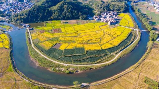 省加快推进现代化产业体系建设第五场专题会议在广州召开，黄楚平出席会议并讲话