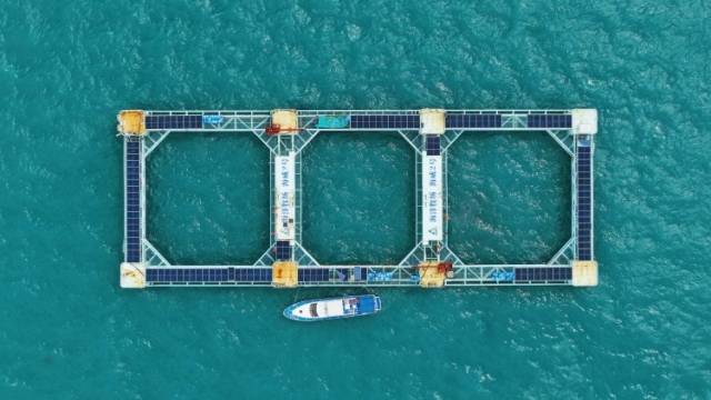 评论丨以大省之责，绘就岭南农业现代化新图景