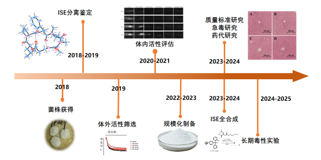 历时7年，中山大学海洋药物研发团队开发出新型抗血栓候选药物ISE。