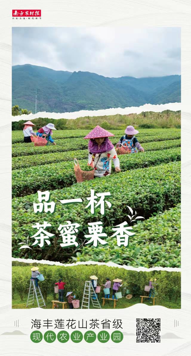 受访者供图