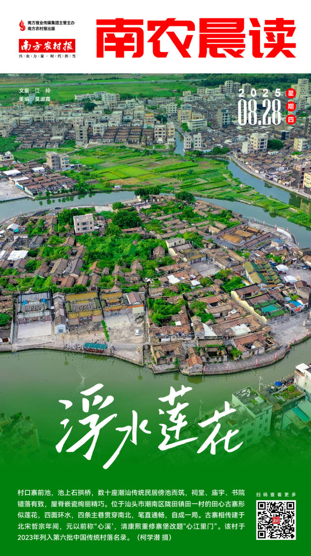 南农晨读丨浮水莲花