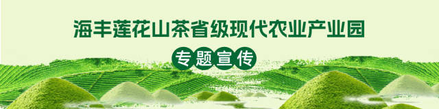 受访者供图