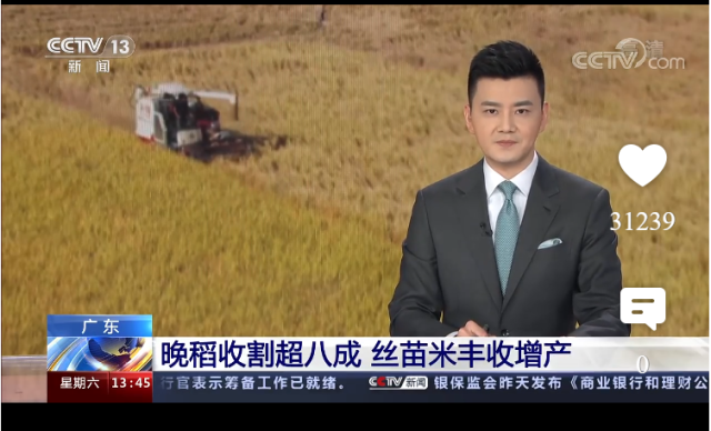 央视新闻直播间报道汕尾丝苗米。