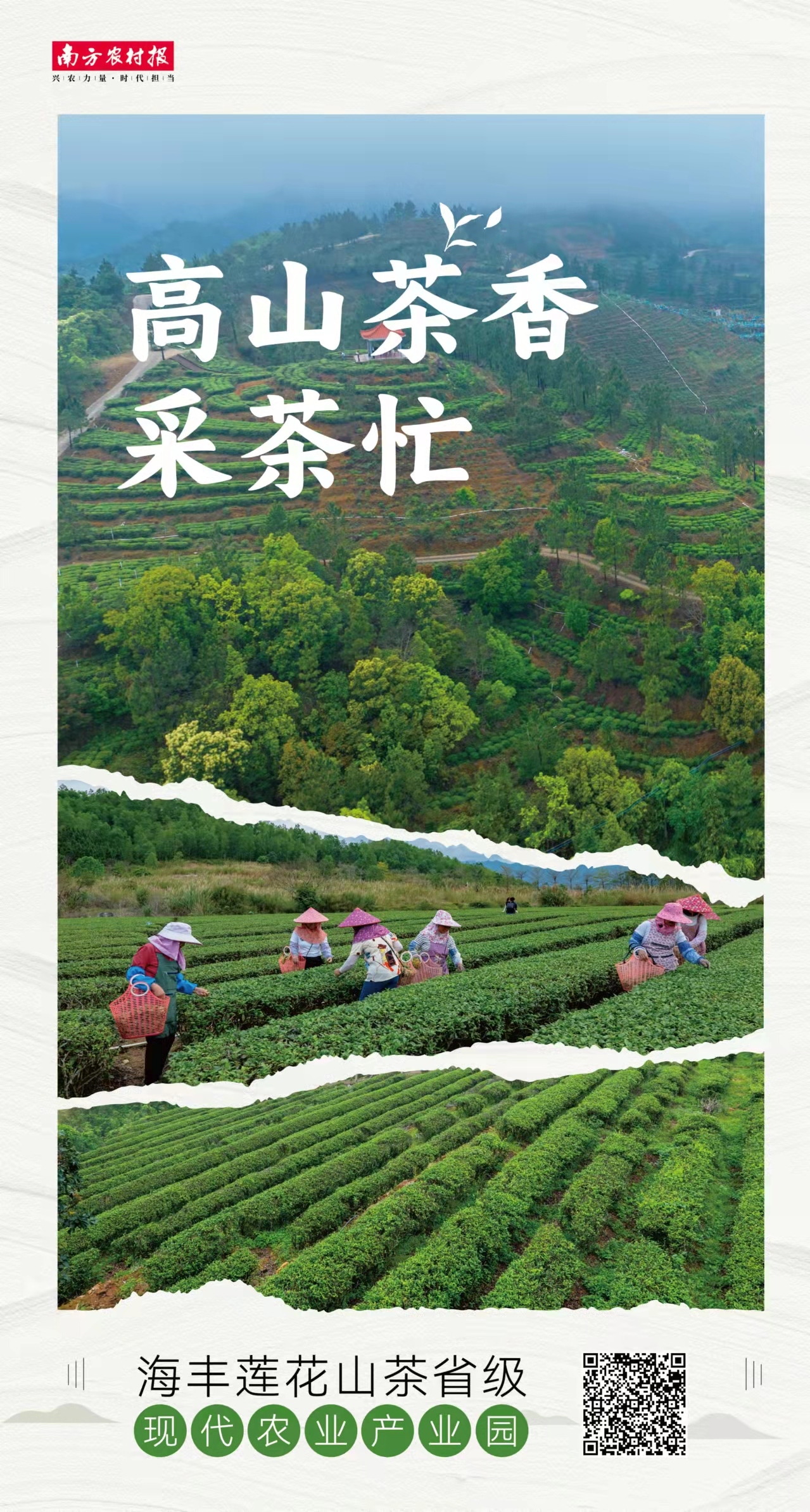 受访者供图