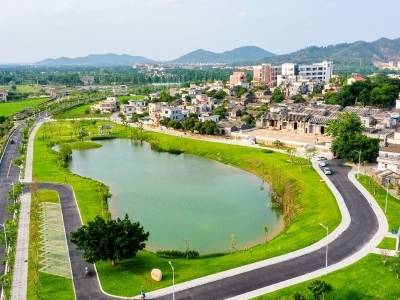 斗门，一场基孔肯雅热防控战中的村居“蝶变”