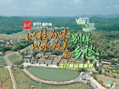 以桂为味、以水为美的别样乡愁｜江门“乡”见⑥