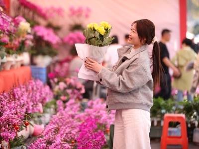 顺·势｜掘金村域经济，顺德出招