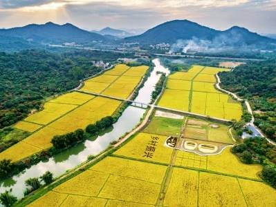 为岭南特色现代农业发展共谋良策，这场会亮点频出