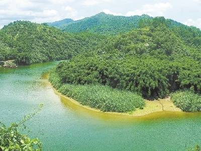 山林披新绿 城乡绘新篇  | 速览《南方日报·阳春视窗》63期