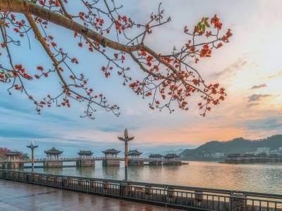 “吾手写吾乡 花开文明潮”城市文明主题征文启事