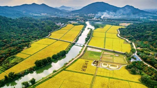 为岭南特色现代农业发展共谋良策，这场会亮点频出