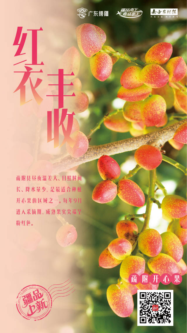 不分年岁，嚼颗开心果，烦恼退退退