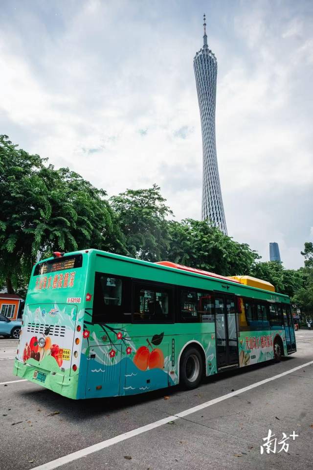 受访者供图