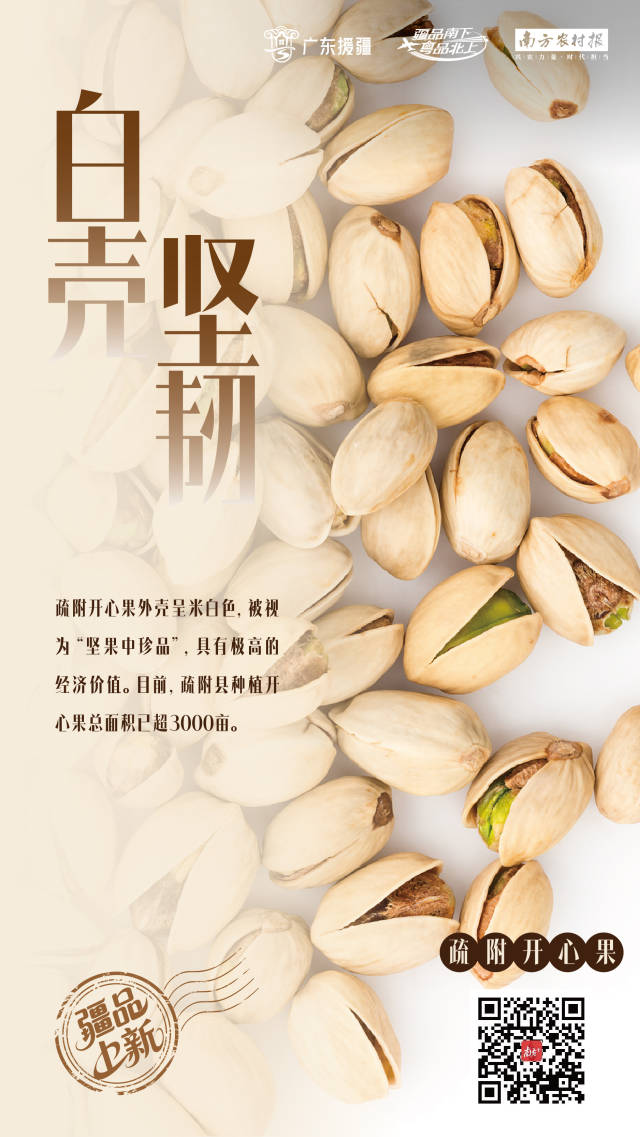 不分年岁，嚼颗开心果，烦恼退退退