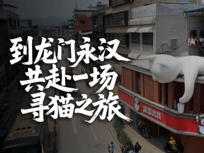 到惠州龙门，共赴一场寻猫之旅｜寻迹218最美公路⑬