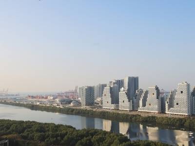 党建引领高质量发展·书记说｜宋德东：活力西乡，迈向湾区都市新核心