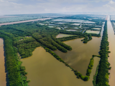 湿地之城！独家揭秘南沙的“湿”和远方