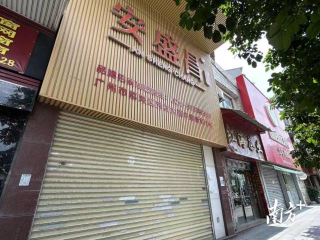 珠琴2家企业上榜！2025中国民营企业500强发布