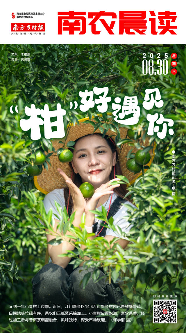 南方农村报 樊静东 制图