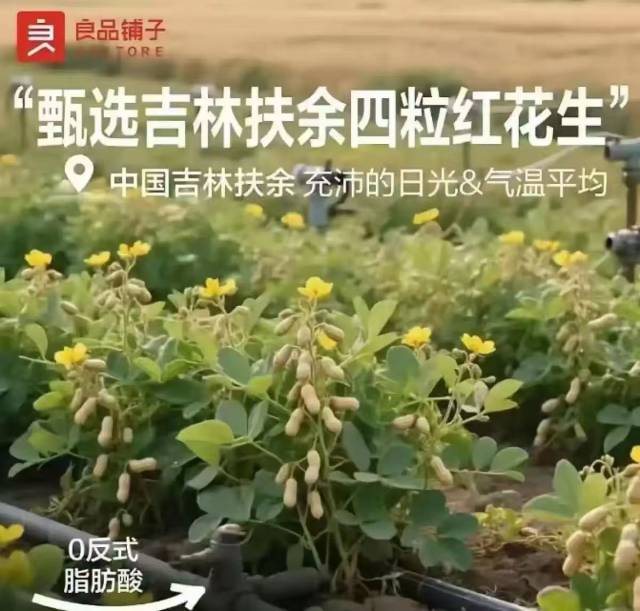 快评丨花生上树，AI“背锅”？