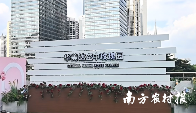 “后智能时代”的消费电子竞争开启!扎克伯格推动AI智能眼镜革命，向iPhone生态发起冲击