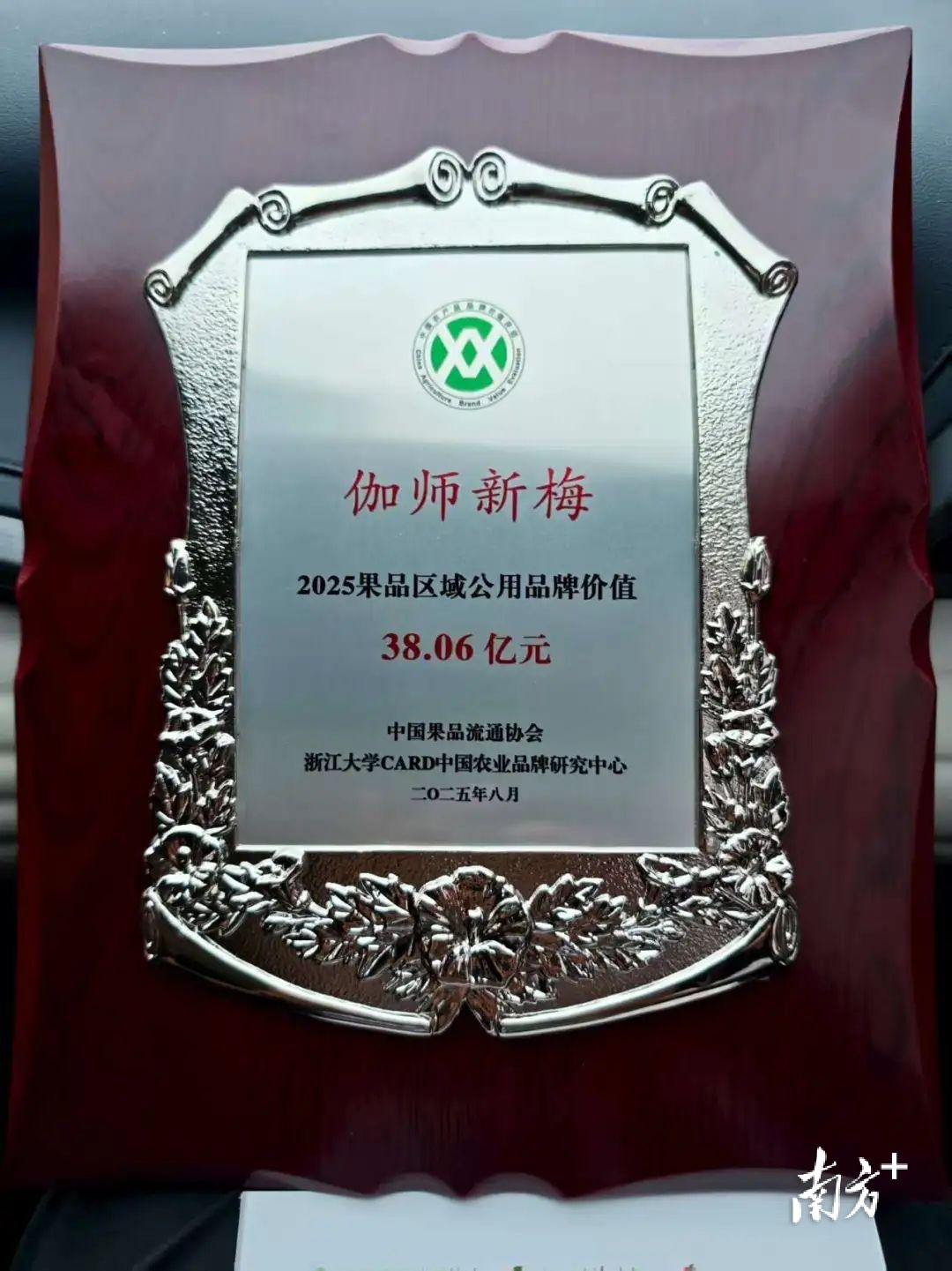 受访者供图