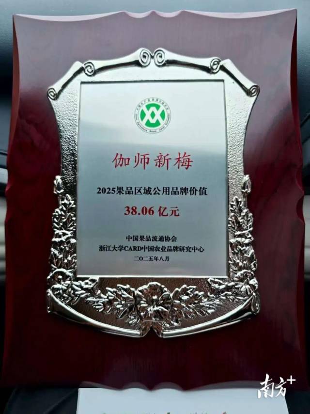 七夕夜，全场向珠海表白！