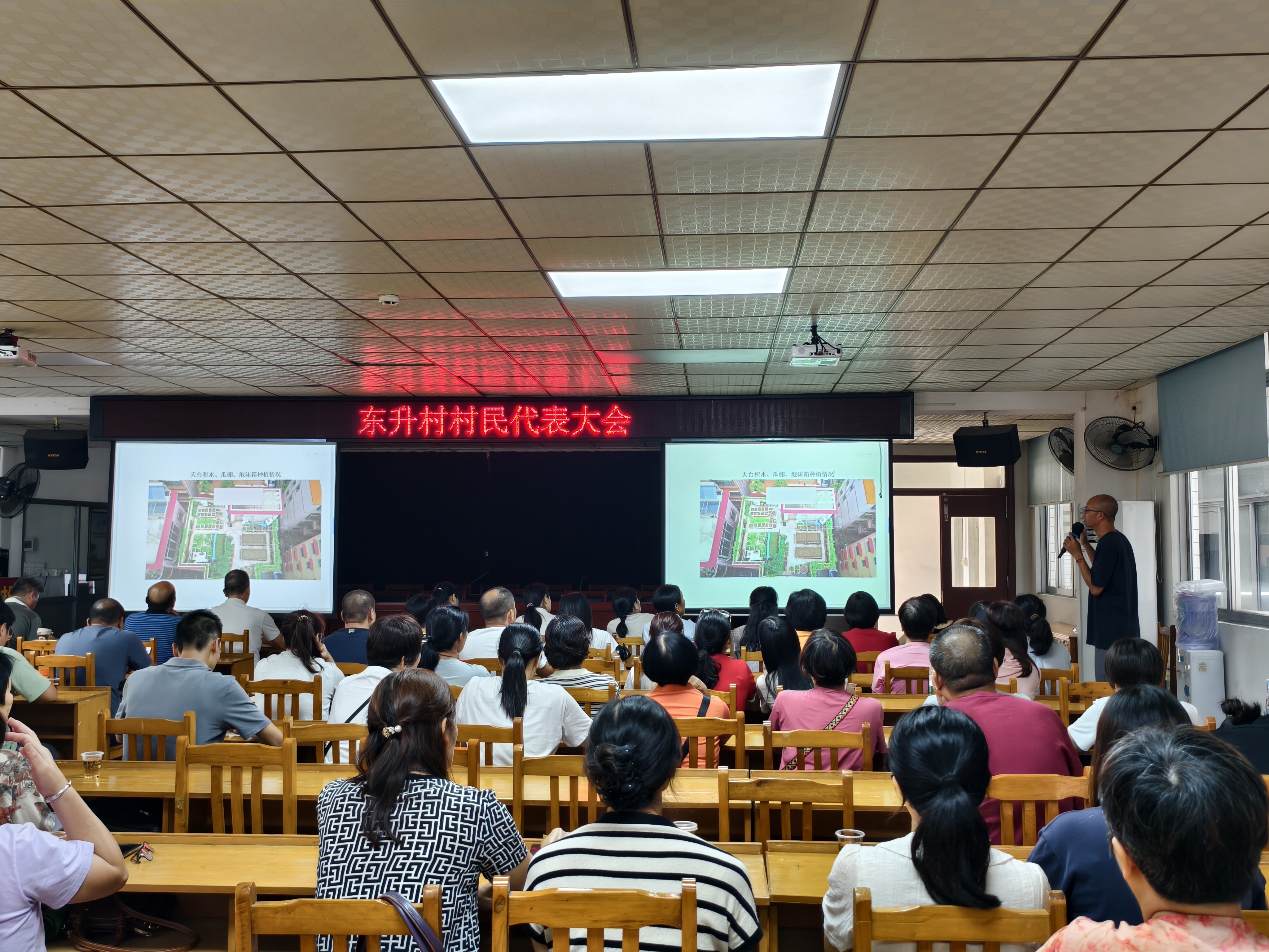 东升村对该村的安装纱网方案进行表决。