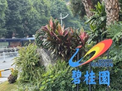 碧桂园上半年营收725.7亿元，净资产保持为正