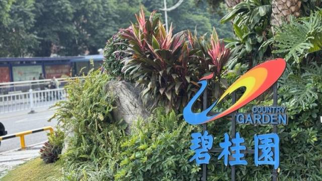 碧桂园上半年营收725.7亿元，净资产保持为正