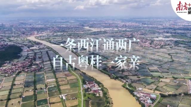 4天6城13个共富样本，打开粤桂协作的振兴密码