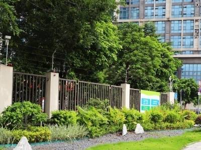 方寸之间，筑绿成诗！番禺口袋公园点染城市文明