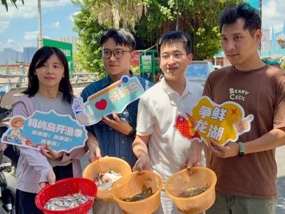 妈屿岛开渔季：一网海鲜的“新”销路｜百千万·看龙湖
