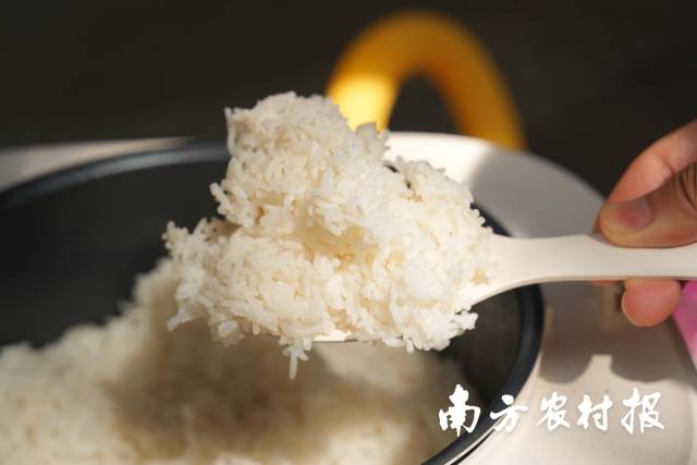 恒指牛熊街货比(77:23)︱8月1日