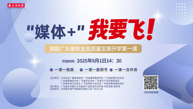 我市开展打击网络侵权盗版“剑网2025”专项行动