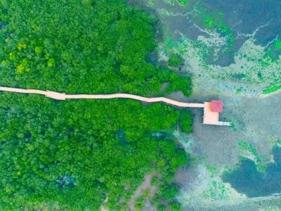 海上新广东·新生态图集