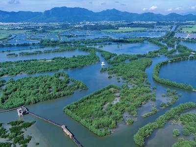 构建海洋新生态，奏响蓝绿交响曲 | 海上新广东系列报道③